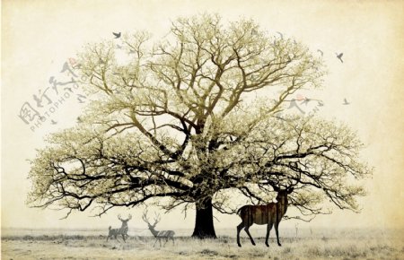北欧麋鹿幸福树