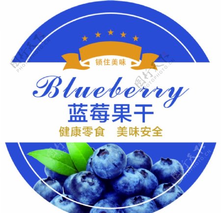 蓝莓果干