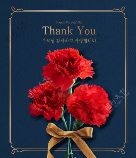 大气韩系红色康乃馨花束边框海报素材