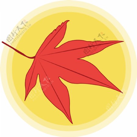 扁平化立秋枫叶元素设计