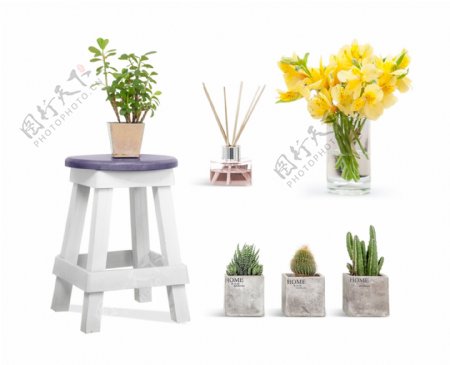 植物花朵盆栽香水仙人掌椅子绿色环境合成素材