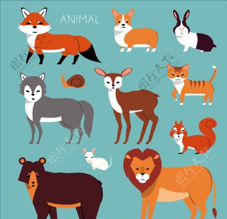 卡通动物动物手绘
