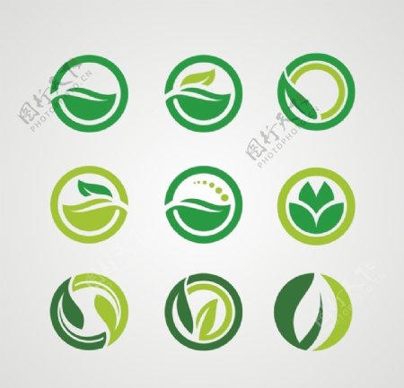 绿叶元素标志