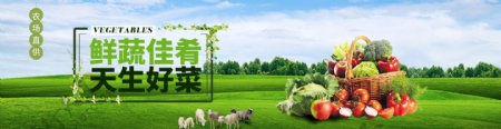 蔬菜食品淘宝海报banner