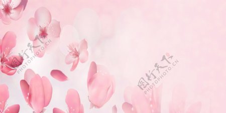 花朵背景粉色