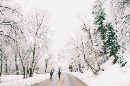 雪景