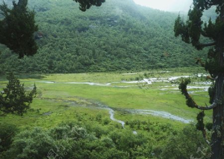 风景