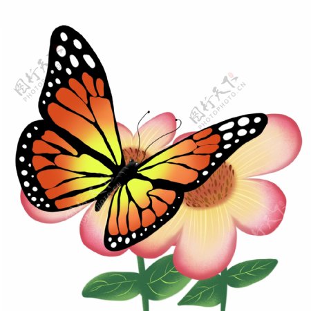 中国风手绘蝴蝶插画分层昆虫可商用元素