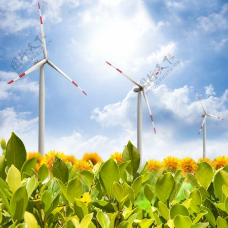 生态和风力发电