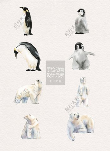 手绘南北极动物插画设计元素