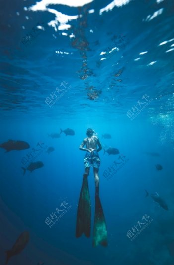 热带海下潜水员