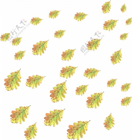 手绘植物漂浮树叶黄色落叶