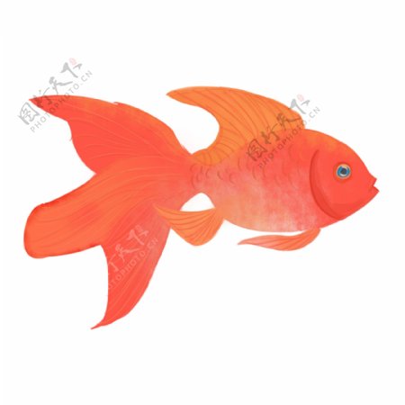 可商用红色喜庆中国风手绘元素金鱼装饰图案