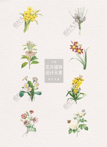 8款怀旧感手绘花卉植物插画矢量素材