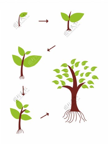 植物生长过程矢量元素