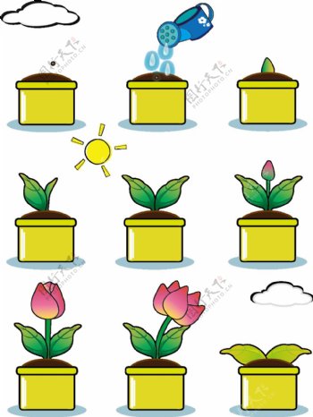 手绘风卡通渐变花朵植物生长过程套图元素