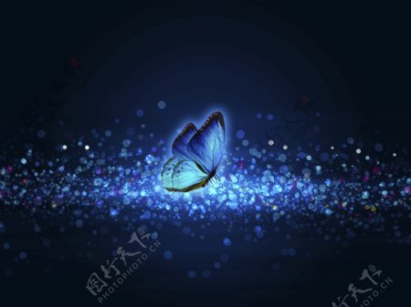 蓝色蝴蝶光斑背景