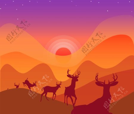 夕阳下的鹿群