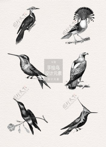 水墨手绘鸟插画设计元素
