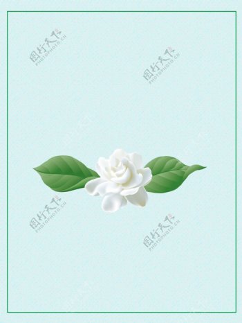 纯洁白色花朵广告背景
