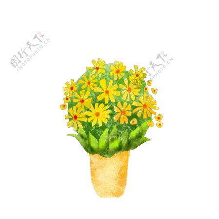 黄色的鲜花盆栽插画