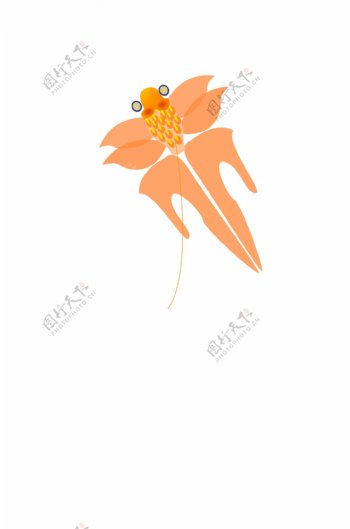 橘黄色的金鱼风筝插画