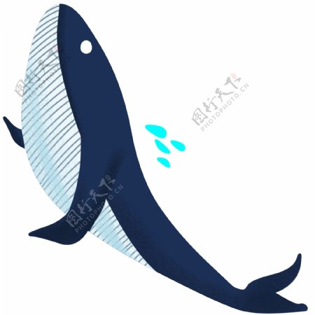 海洋世界鲸鱼插画
