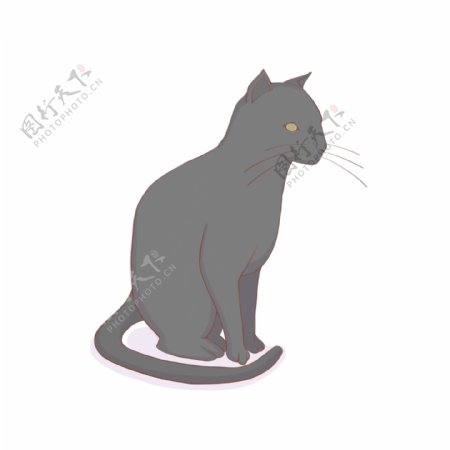 手绘动物生物黑猫可商用