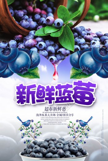 新鲜蓝莓海报设计.psd