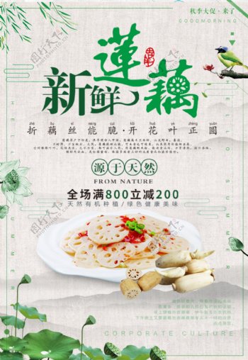 清新中国风莲藕食品促销海报设计