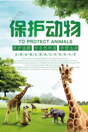 绿色大气保护野生动物公益海报