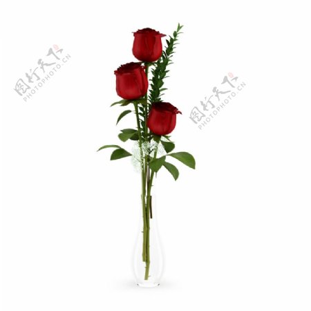 玫瑰花瓶模型素材