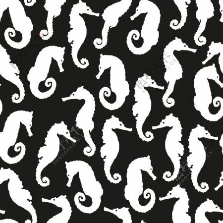 黑白海马水彩diy纹理图案素材