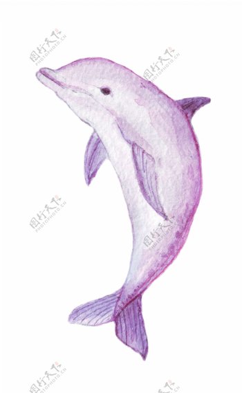水彩粉色鲸鱼矢量素材
