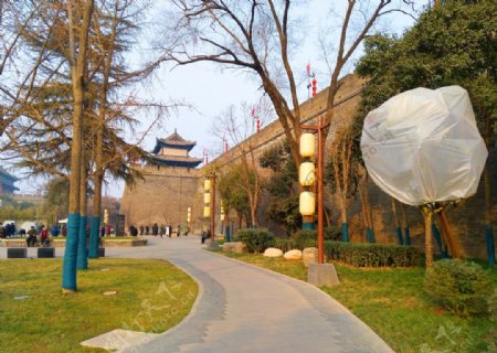 夕阳下的公园风景