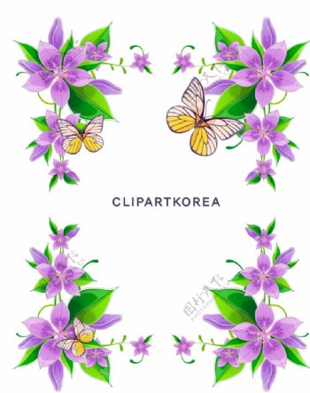 紫色花卉蝴蝶花边