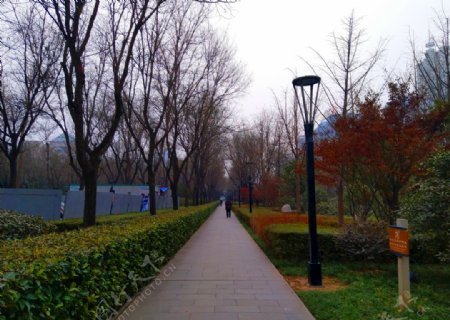 深秋时节的公园