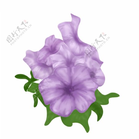 花朵植物紫色手绘简洁