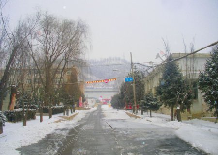 冬日里的城市街道