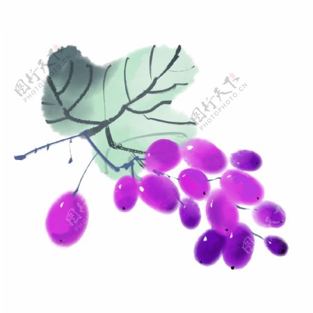 中国风水墨彩绘水果静物葡萄