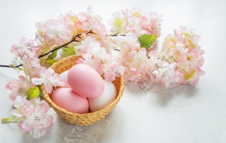 花卉和鸡蛋