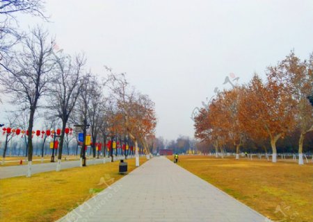 大明宫公园美景