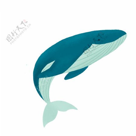 手绘蓝鲸图案设计可商用