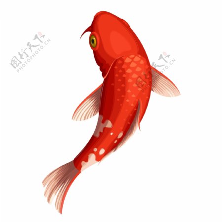 手绘可爱红色鲤鱼动物元素