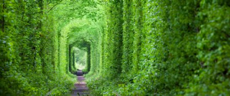 梦幻般的爱情隧道绿树和铁路
