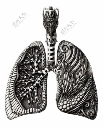 AlexKonahi肺
