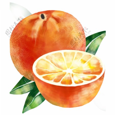 橙子透明PNG免扣素材