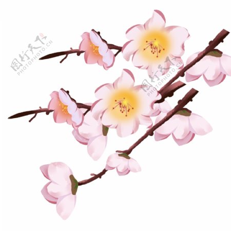 粉色水彩花枝卡通透明素材