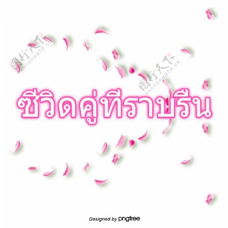 泰国文字字体平滑带宽双蹄花