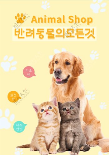 黄色宠物可爱互动海报